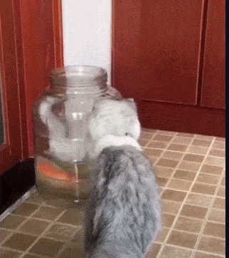 322_362gif 动态图 动图