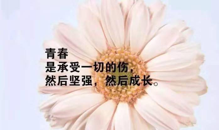 2021魅力十足的早安心语,唯美阳光,发朋友圈特有范儿