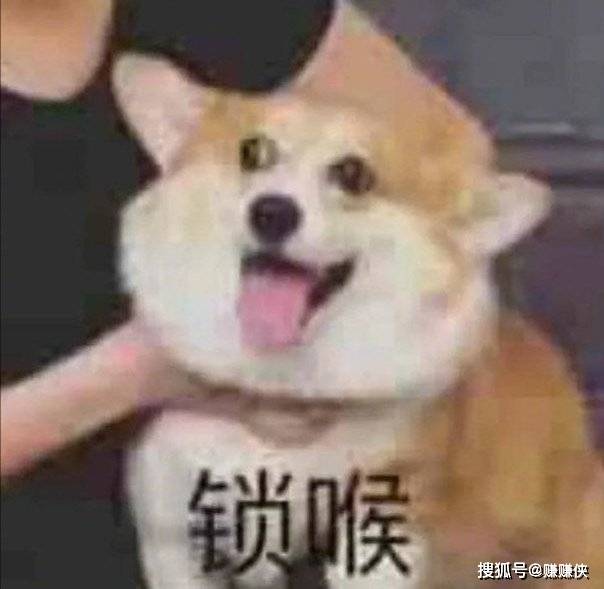 沙雕表情包图片:感谢老铁支持