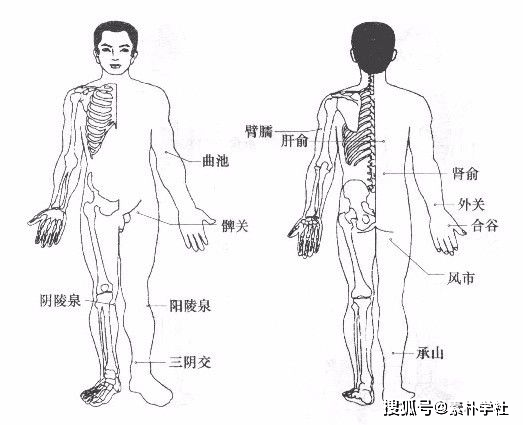 "胖不起来"和"瘦不下去"之间,你只差这份调理清单