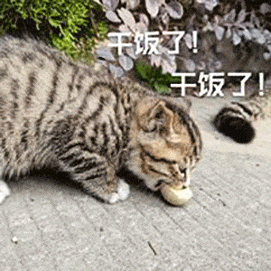 幽默搞笑表情包:干饭时间到了_熊猫头
