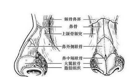 那么,鼻子是人类获取氧气的唯一方式吗?当然不是!