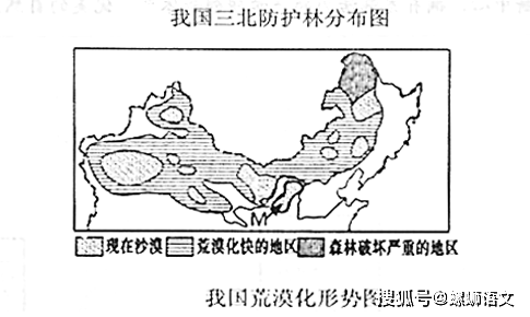 原创反转再反转敦煌防护林究竟去哪了