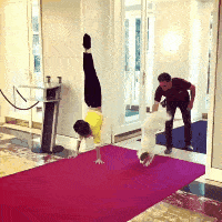 原创搞笑gif吃东西要淑女点不然以后嫁不出去