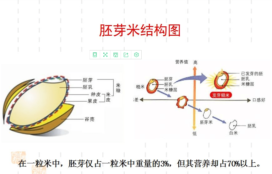 有机胚芽米和精白米的营养成分对比表让你一眼看透它们的区别