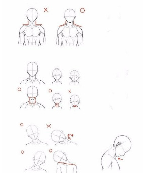 人物头部结构怎么画正确?