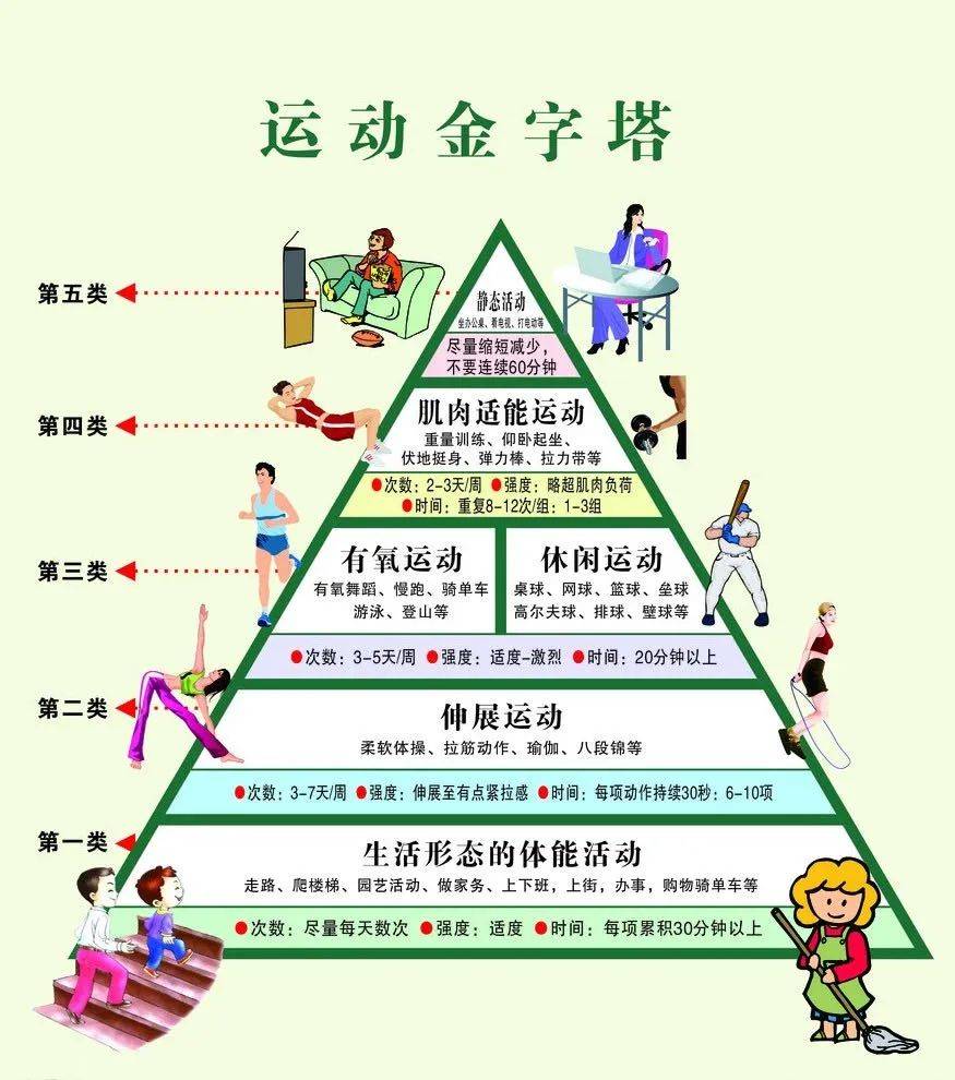 这个"科学健身金字塔"把运动行为按由多至少的频次分为五类:在我的