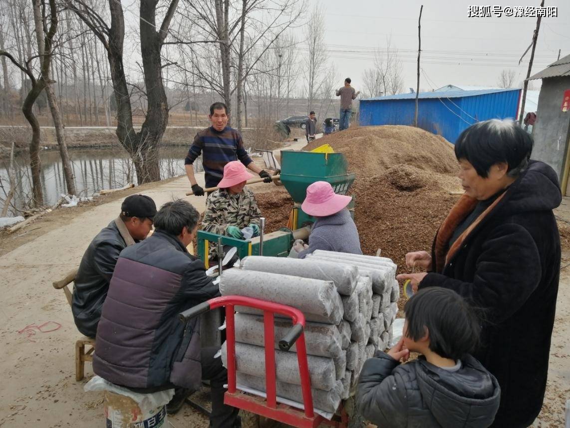 方城县柳河镇程传文:"香菇书记"托起产业致富梦