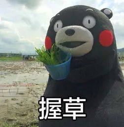 表情包|熊本熊 在未来的日子里