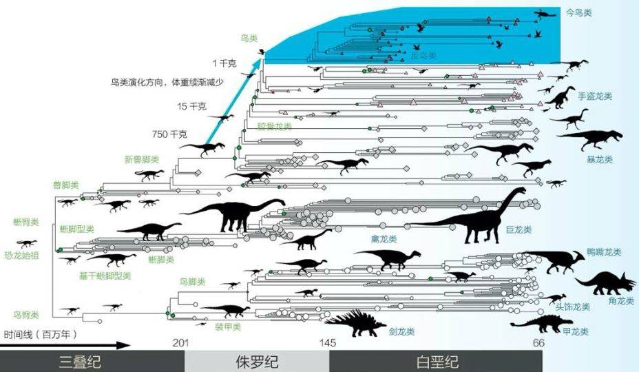原创都说小鸟是恐龙的后裔!恐龙那么大如何会进化成小鸟?是退化了吗