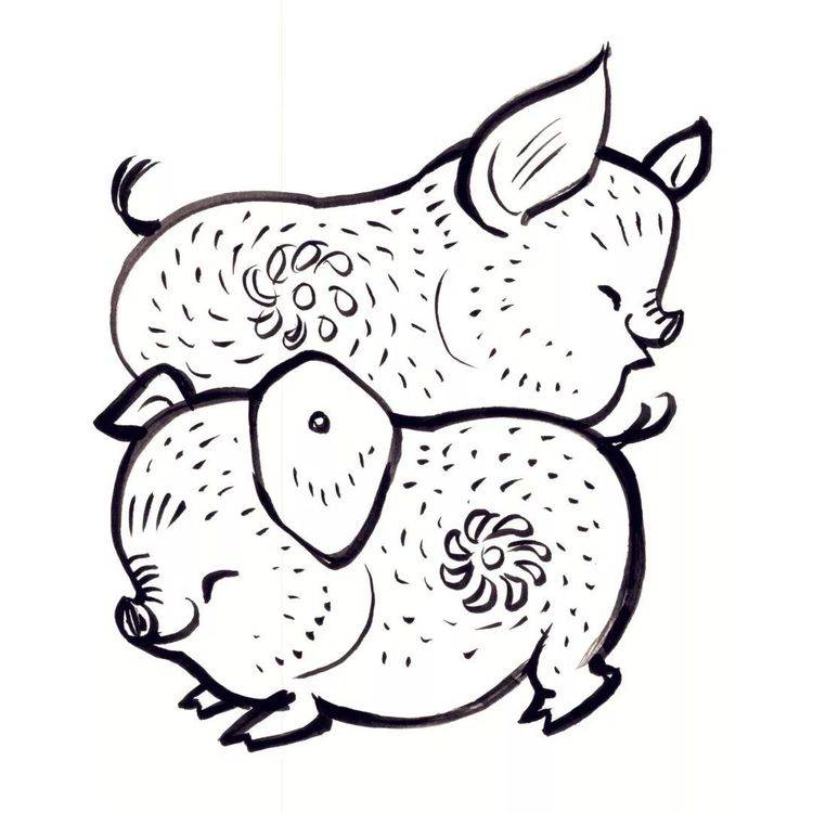 生肖猪将在2021年对应阴阳.金旺五人分管金盛水产致富局.