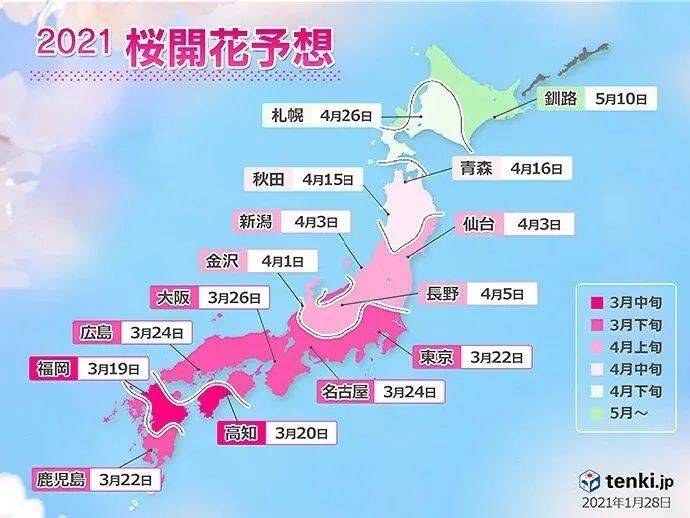 日本2021年樱花开放时间表新鲜出炉,这次还能去看吗?