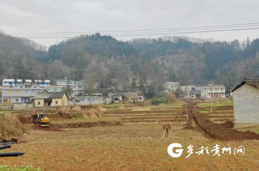 走进小屯镇木桑村,工人们正抓紧对污水排污管道进行挖沟,清土等施工