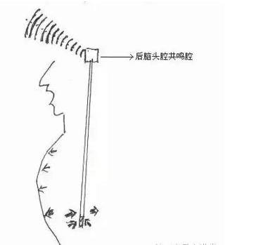 头腔共鸣到底skr什么东西?一招教你准确找到并运用!