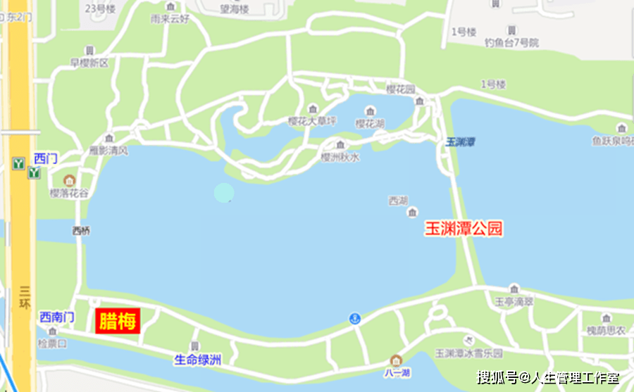 陶然亭公园腊梅,在园中园"华夏名亭园"内.