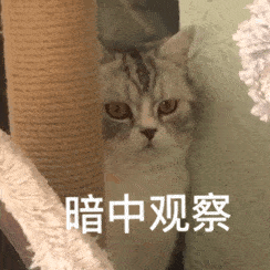 活动已于2月10日18时公布了中签结果,中签人数150000,中签率10.66%.