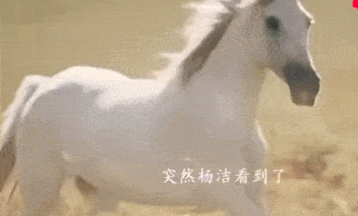 西游记拍摄完白龙马被弃山洞尸骨无存人性比妖魔更丑恶