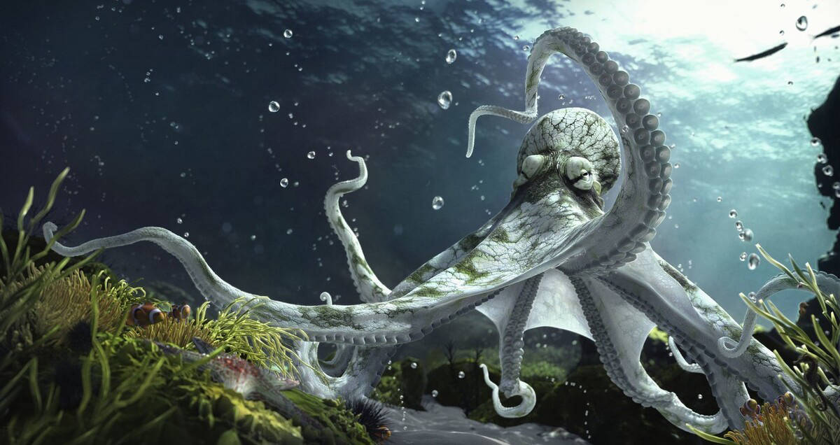 最接近外星人的生物比人类多出一万个基因的章鱼为何如此聪明