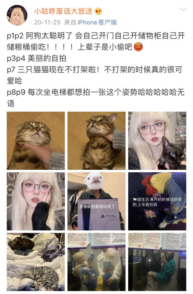 网红机智张逼猫吃饭差点将猫前肢掰骨折,还曾掐猫脖子,为虐猫行为发文