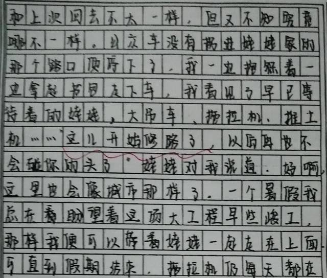原创学霸的高分作文,不仅文采飞扬,而且字迹清秀,学霸就是学霸,牛