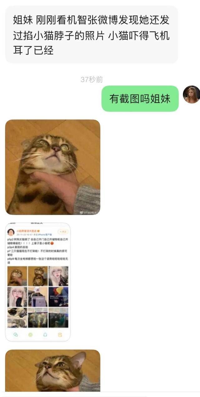 原创网红机智张逼猫吃饭差点将猫前肢掰骨折还曾掐猫脖子为虐猫行为发