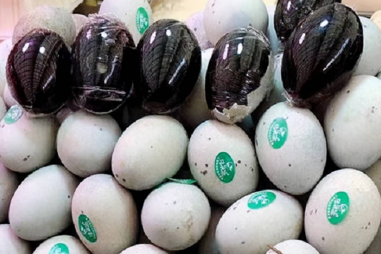 同样是皮蛋,有黑点和无黑点哪个好?差距很大,别胡乱瞎