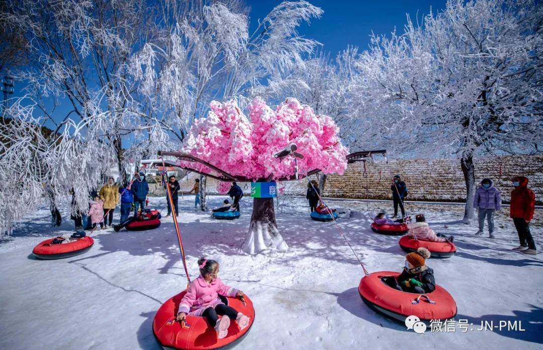 在跑马岭·齐鲁雪乡  今年的春节假期可谓喜事连连  从除夕至大年