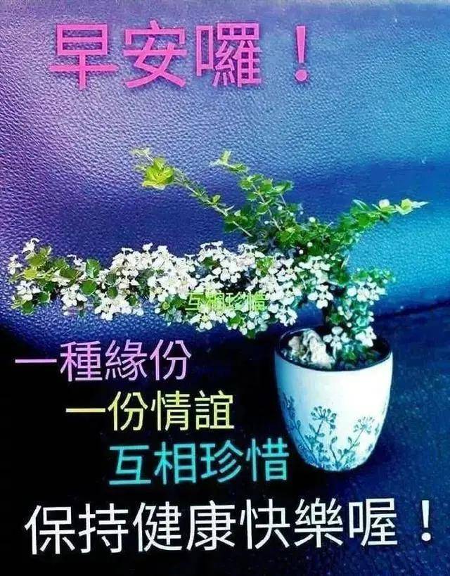 原创早上好问候语温馨动图表情包早上好祝福语图片最新语录大全