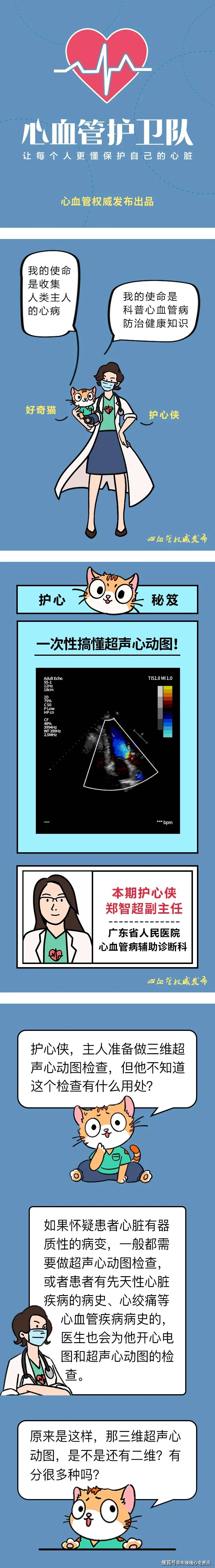 一次性搞懂超声心动图!