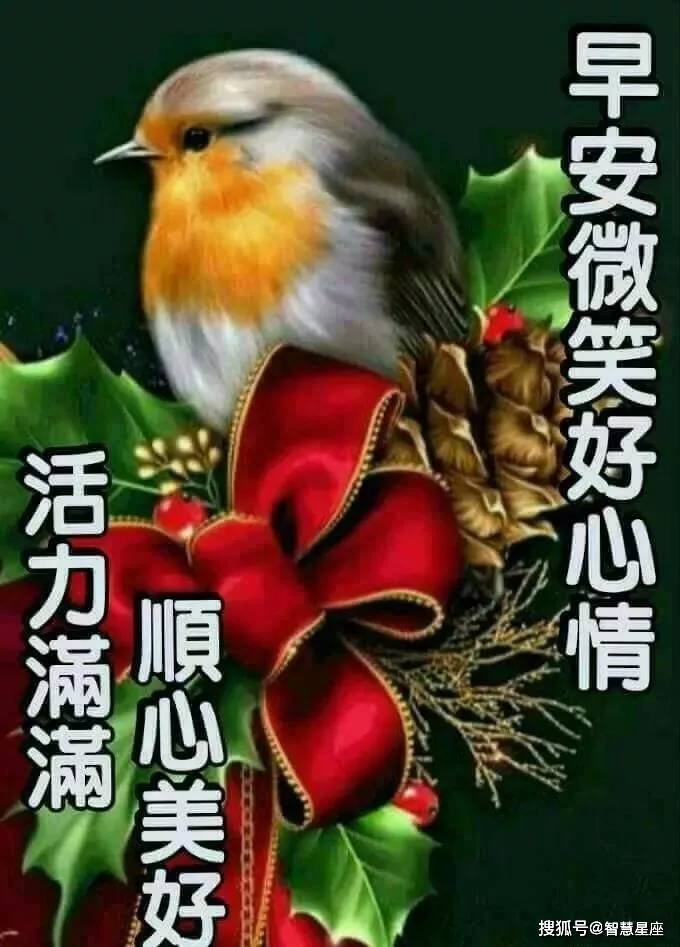 原创正月十九清晨最美早上好动画表情图片带字,早上好暖心的祝福语