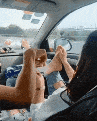 搞笑gif段子一顿操作稳如狗一问工资250