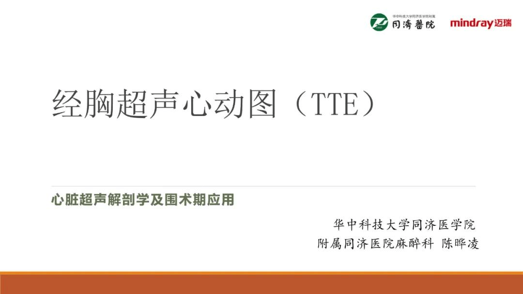 围术期经胸超声心动图(tte)