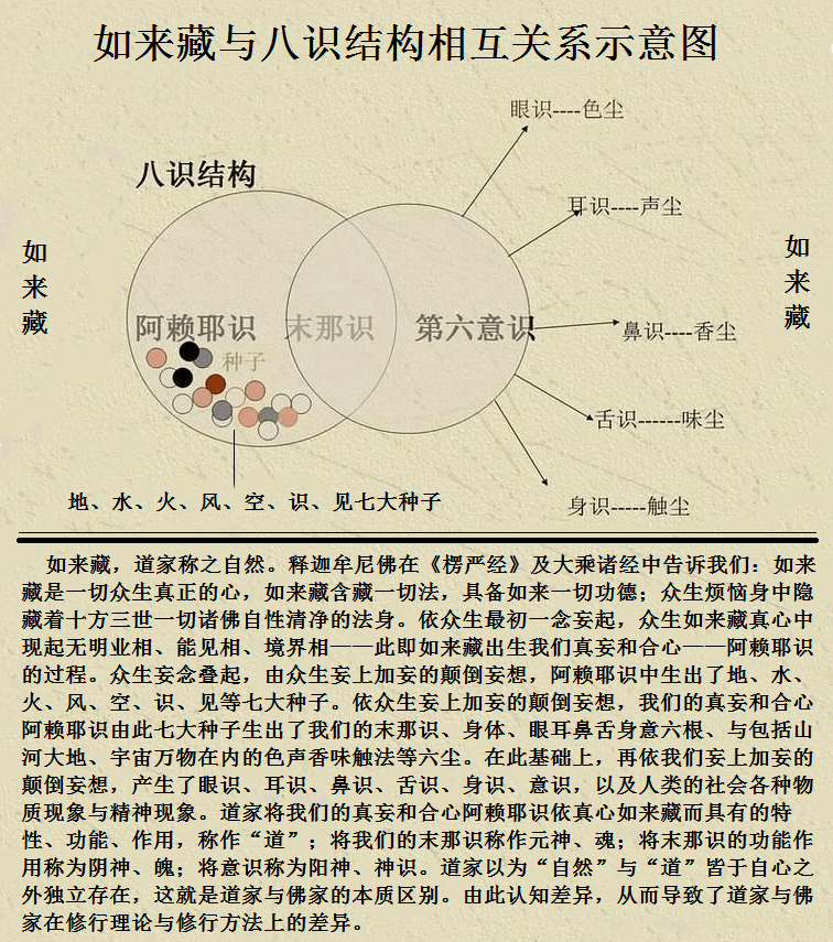 意,即指意识,唯识家将"意"用来指第七识——末那识,而用"识"来指意识.