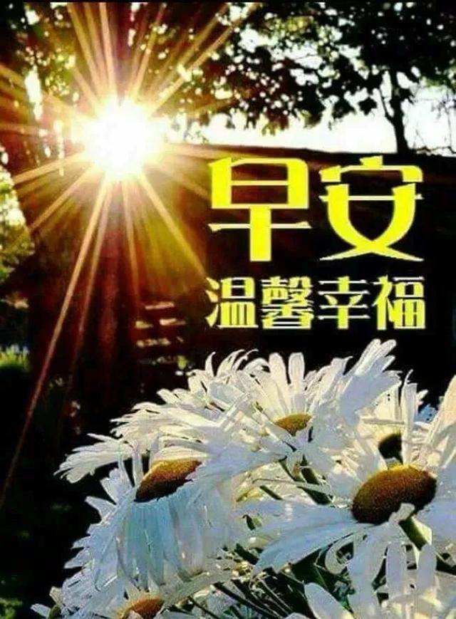 朋友圈早上好问候语适合群发的动态图片表情大全_安康