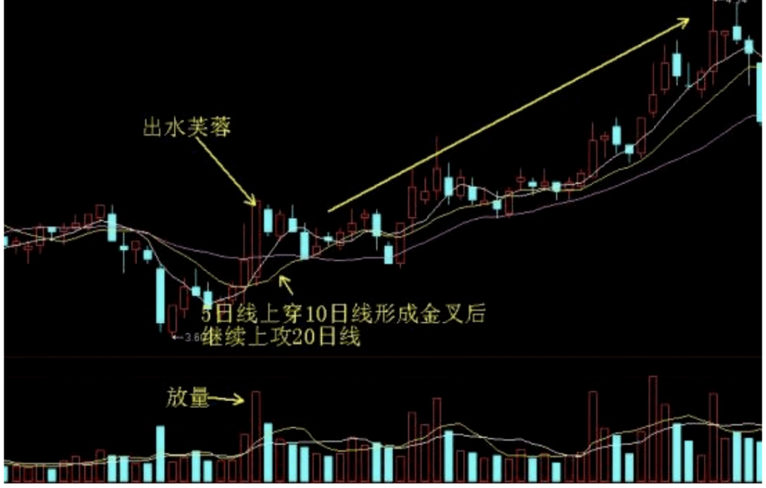 lhcm万汇出水芙蓉买入形态要领