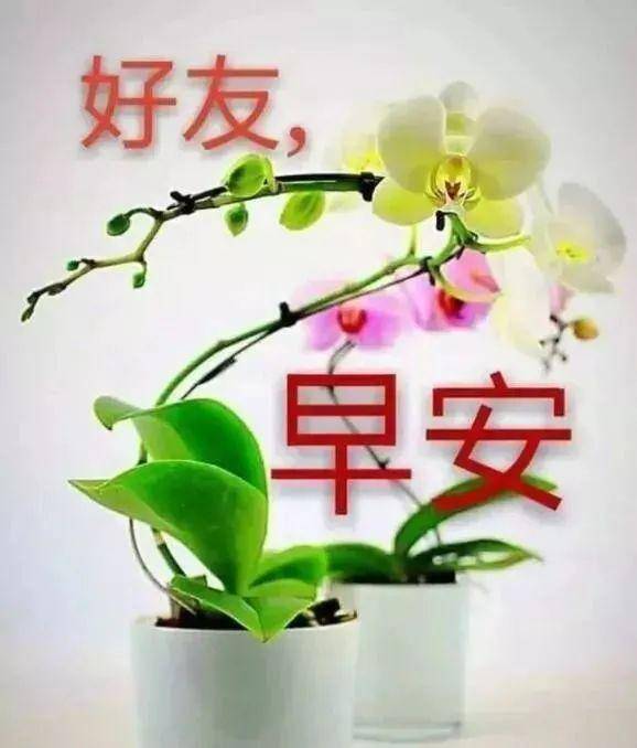 最新早晨好问候语动态图片表情 朋友圈问候祝福语动表情图片