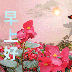 7张有创意免打字聊天早上好动态图片,唯美早安问候祝福动画表情图片