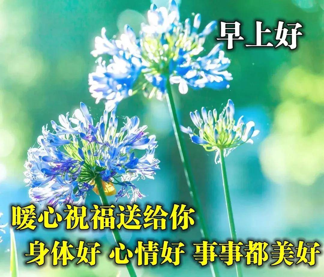 早上好问候语图片早安祝福语阳光句子