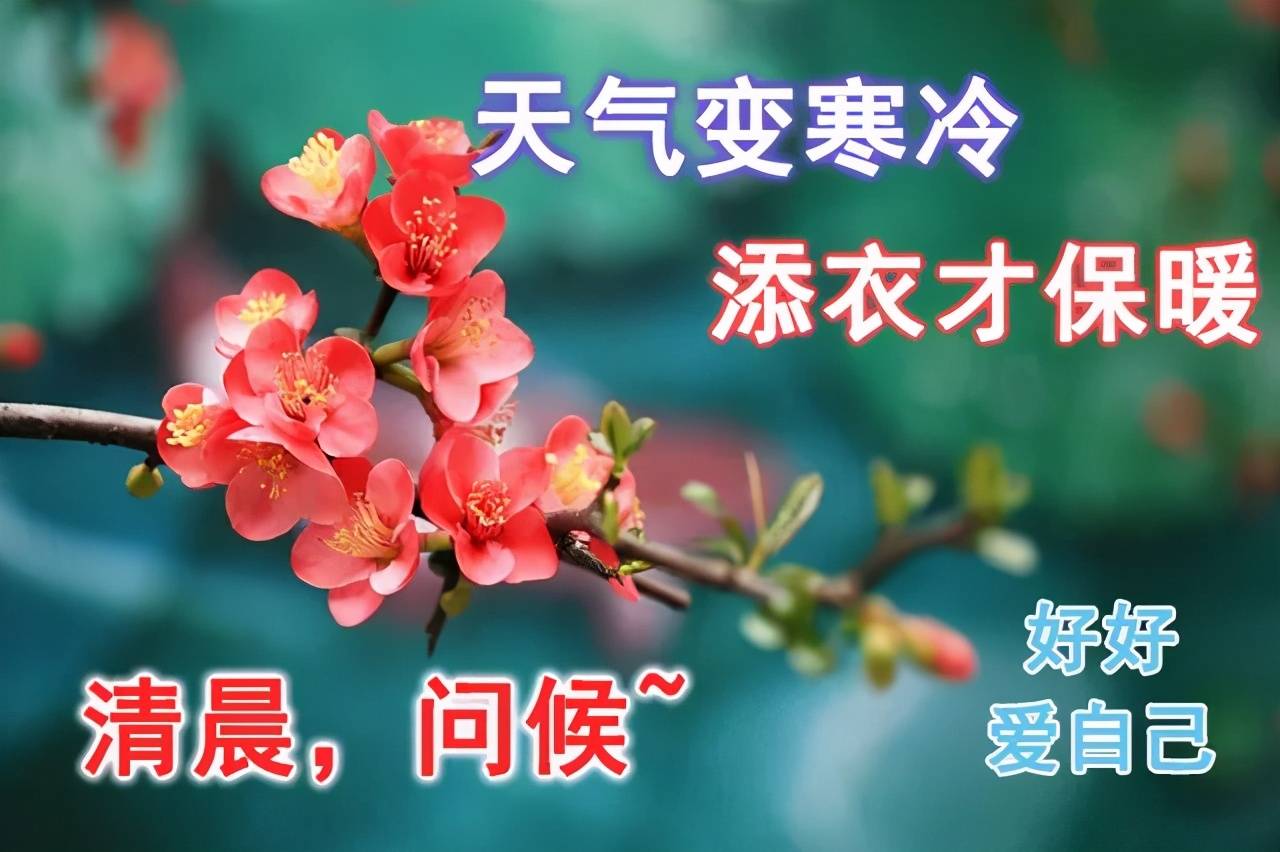 早上好天冷了暖暖的祝福深深的问候早安图片唯美句子