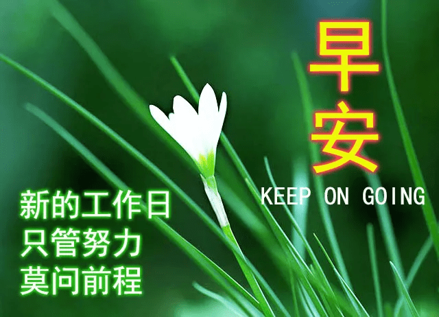 清晨早安动态表情问候祝福语,美好的一天从这里开启吧