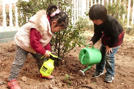 精选幼儿园植树节活动策划方案10,赶紧收藏!