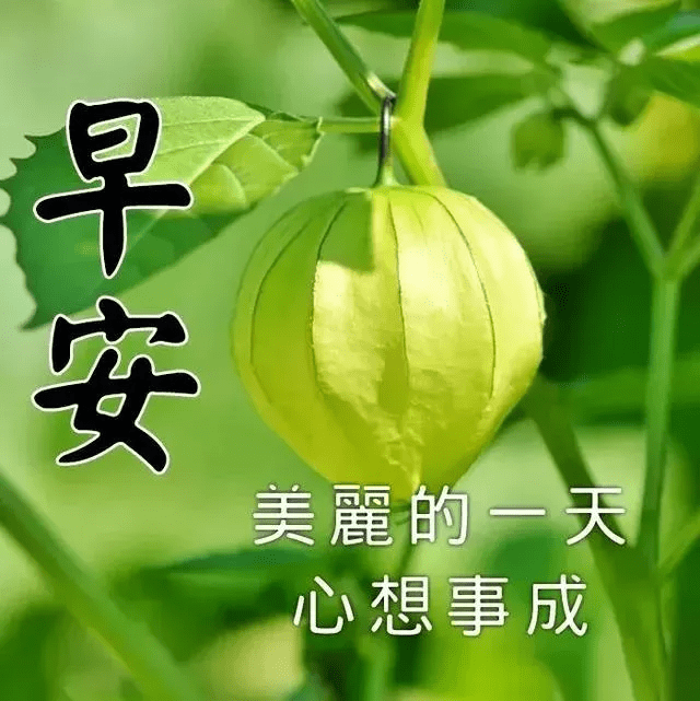 原创清晨暖心的早安祝福语朋友圈最喜欢的早安祝福图片带字