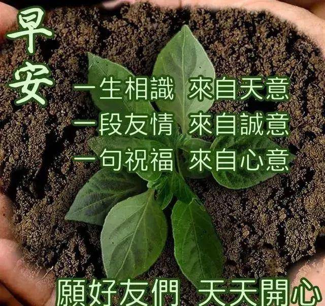 特别漂亮早上好带字动态图 最新早上好表情动态图片大全