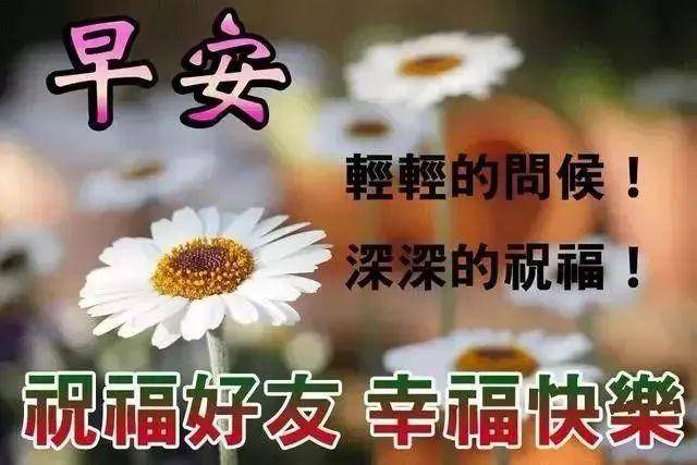 暖心的早晨问候短信祝福语,早晨图片问候祝福表情