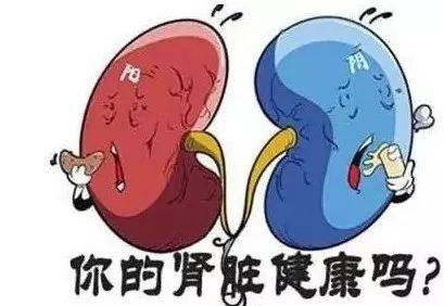 中国慢性肾病患者人数超1亿,预测2040年将成为全球第五位的致死病因