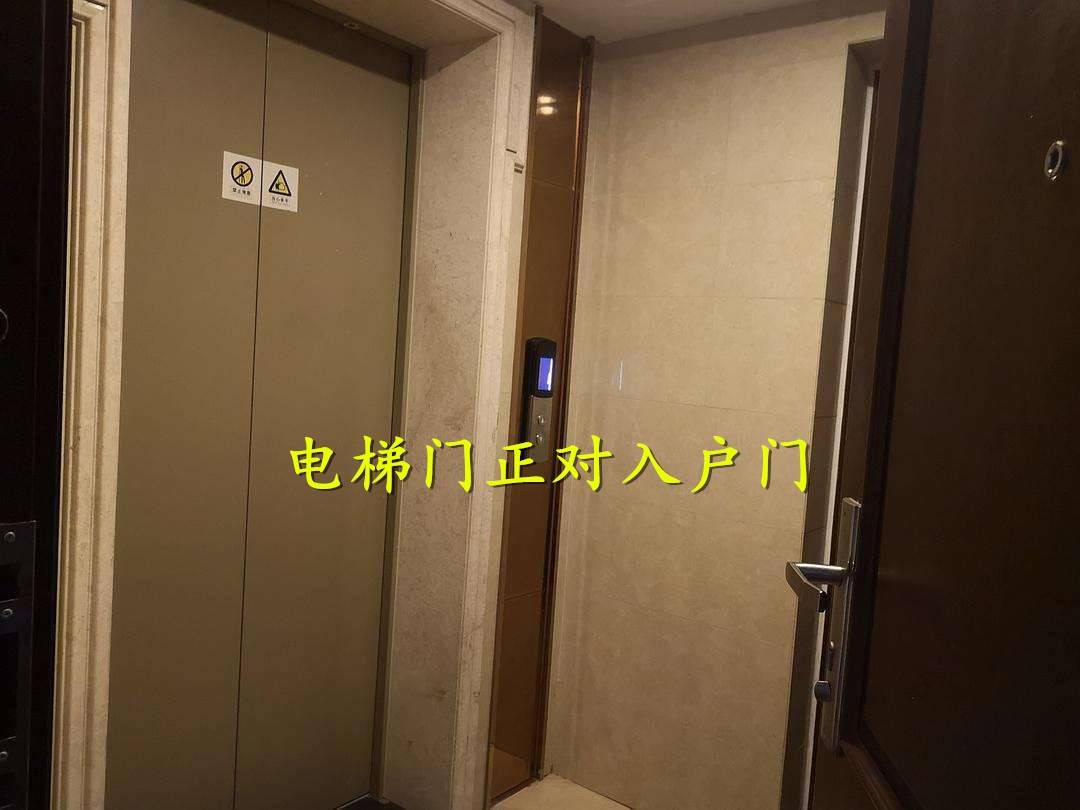 入户门紧挨电梯不是一梯一户建议都避开进出方便但噪音贼大