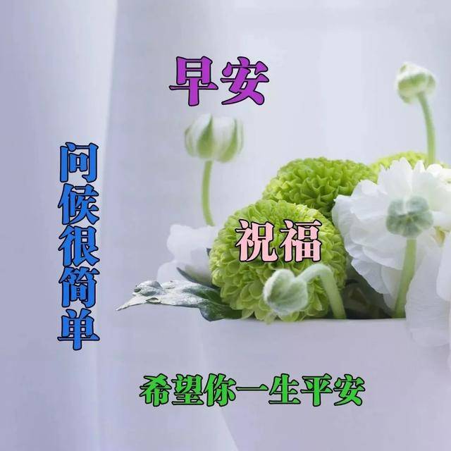 早晨好的问候语图片表情 发朋友圈好看的早晨图片