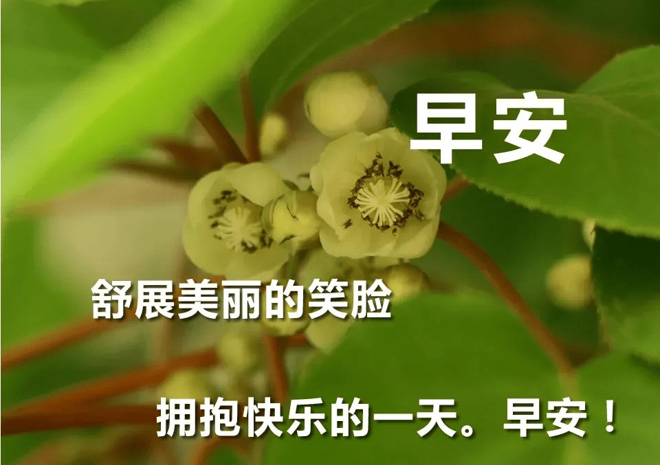 新的一天新的祝福,早上好问候语图片,早上好祝福语表情