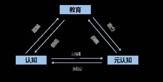 让人脸圆的元认知