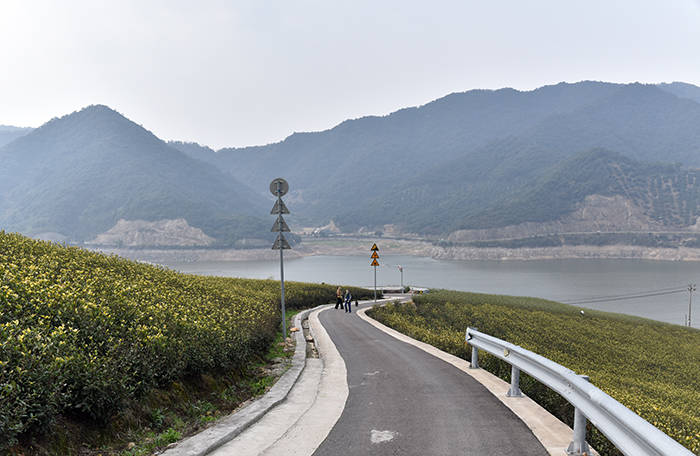 春日游宁波横溪水库茶场